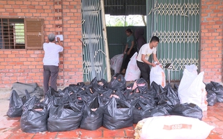 TPHCM: Phát hiện hơn 2.000 kg vịt chết bốc mùi hôi thối