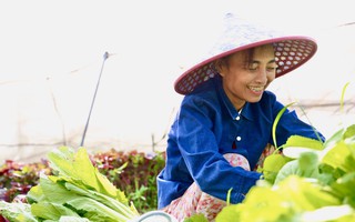 Tổng quan chương trình giảm nghèo 2021 - 2025: Những thay đổi lớn người dân cần biết