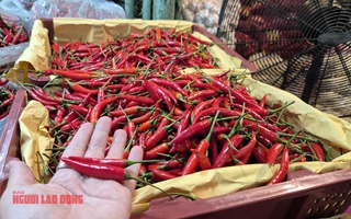 Khó tin: Việt Nam chi hơn 23 triệu USD để nhập khẩu ớt