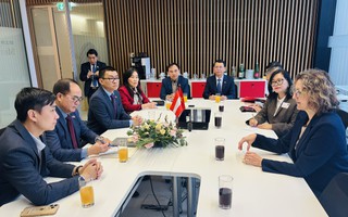 Sang Châu Âu... trồng nho: Cơ hội mới, lương hấp dẫn