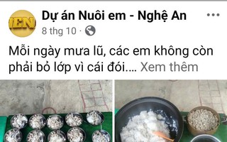 Dự án "Nuôi em - Nghệ An": Đề nghị HĐND có ý kiến để UBND tỉnh chỉ đạo làm rõ