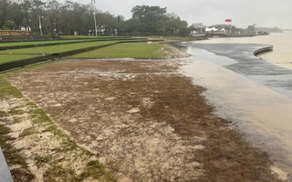 Sân khấu nổi sông Hương cỏ chết, bùn lấp, ai bỏ tiền khắc phục?