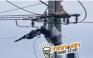 Bắt ong vò vẽ, một thanh niên bị điện giật tử vong