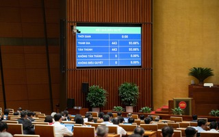 Developing Ho Chi Minh City into a megacity on par with Asia’s leading metropolises