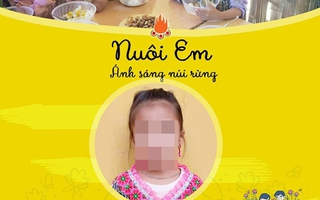 Hội Liên hiệp Thanh niên Việt Nam nói gì về dự án "Nuôi em" của ông Hoàng Hoa Trung?