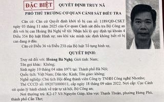 Bộ Công an truy nã đặc biệt Hoàng Bá Nghị, Chủ tịch Công ty NhoNho
