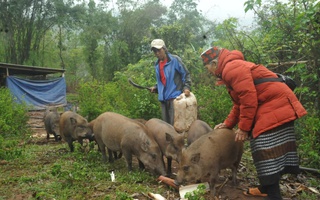 Chuyển từ "trông chờ hỗ trợ" sang tự lực vươn lên