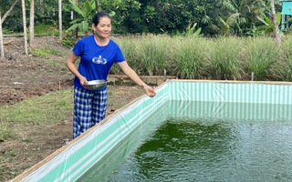 Vĩnh Long: Người phụ nữ Khmer vượt khó nuôi 2 con ăn học từ mô hình kinh tế kép