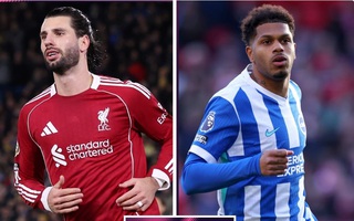 Soi tỉ số trận Liverpool - Brighton: Mưa bàn thắng ở Anfield?