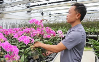 Người dân vùng ven biển Hà Tĩnh giảm nghèo bền vững