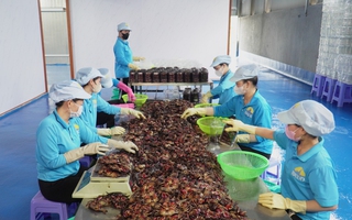 Làng nghề đặc sản kỳ vọng mùa Tết