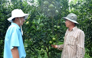 Cán bộ cơ sở: Cầu nối chính sách đến người dân