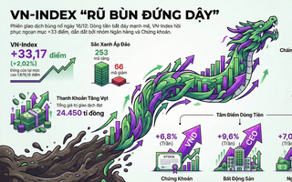 VN-Index "rũ bùn đứng dậy", tăng hơn 33 điểm