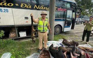 Phát hiện động vật nguy cấp, quý hiếm trên xe khách Bắc – Nam