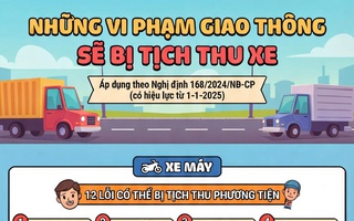 [Infographic] - Những lỗi vi phạm giao thông nào sẽ bị tịch thu xe?