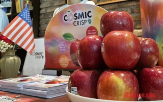 500 container táo Mỹ sắp đổ bộ chợ Tết Việt