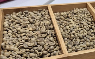 Giá cà phê hôm nay 18-12: Lao dốc phiên thứ 5, mốc 90.000 đồng/kg có thể thủng