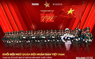 Bầu chọn giải Mai Vàng lần thứ 31 - 2025 Hạng mục chương trình chính luận