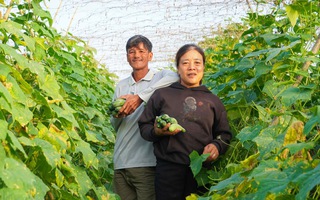 Tạo "vùng đệm" để ngăn tái nghèo