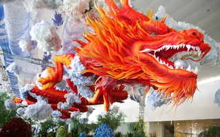 Biểu tượng rồng thiêng đỏ rực tại sân bay Nội Bài