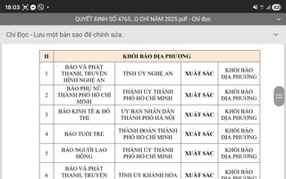 Báo Người Lao Động và 2 báo tại TP HCM được đánh giá "chuyển đổi số xuất sắc"