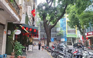 VIDEO: Các tuyến phố ở TP Hà Nội sau gần 1 tuần ra quân giành vỉa hè cho người đi bộ