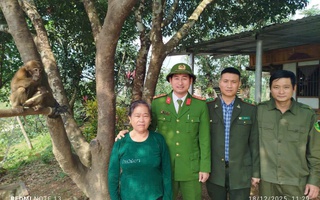 Người dân bàn giao cá thể khỉ đuôi lợn quý hiếm đi lạc vào vườn nhà