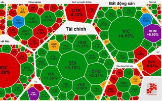 Chứng khoán ngày 19-12: Cổ phiếu họ Vingroup "tím lịm", VN-Index lại vượt 1.700 điểm