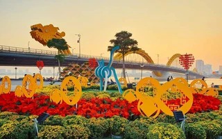 Tet tours enter peak season