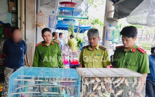 Tạm giữ 150 chim ri do người dân nuôi nhốt trái phép ở Gia Lai