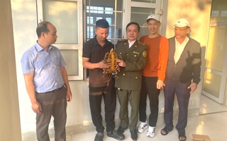 Thấy con vật bò lổm ngổm trong vườn, người dân liền gọi đường dây nóng trình báo