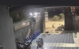 VIDEO: Tông vào xe tải, nam thanh niên đi trên xe máy bị hất văng lên hàng rào nhà ven đường