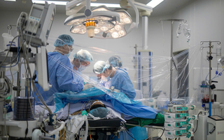 Sinh viên hiến gan cứu thầy