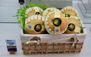 Truy xuất nguồn gốc, bịt kẽ hở hàng giả