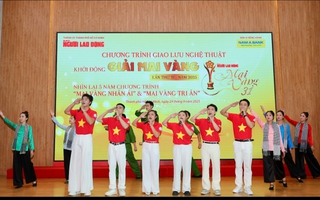 Giải Mai Vàng lần thứ 31 - 2025: Bảng xếp hạng sau 14 ngày bầu chọn