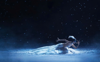 Nghệ sĩ Dương Lệ Bình sẽ đến Việt Nam dự họp báo vở vũ kịch “Khổng Tước - The Peacock Hanoi 2026”