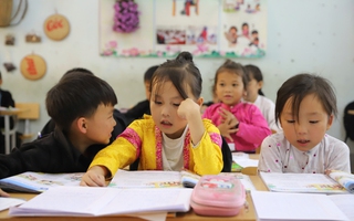 Sáp nhập trường công lẫn tư nếu không đạt chuẩn