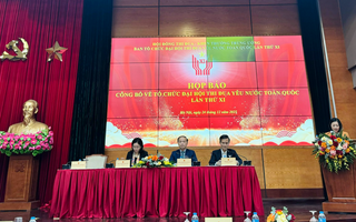 5 học sinh 11 tuổi dự Đại hội Thi đua yêu nước toàn quốc đến từ tỉnh nào?