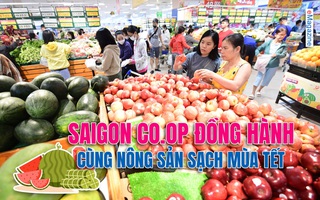 Saigon Co.op đồng hành cùng nông sản sạch mùa Tết