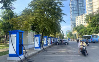 TPHCM trồng thêm 15.000 cây phân tán