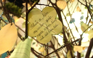 Giáng sinh ấm áp từ những lá thư "kể công"