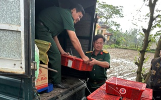 Hình ảnh bàn giao 676 con rắn hổ mang, nặng hơn 920kg ở Quảng Trị