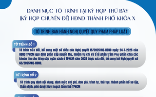 Danh mục 28 tờ trình dự kiến tại Kỳ họp thứ 7 HĐND TPHCM khóa X