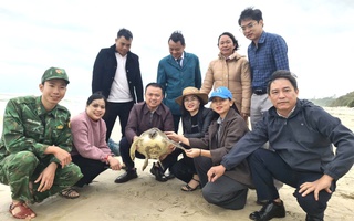 Dính "lưới ma", con vật quý mắc cạn