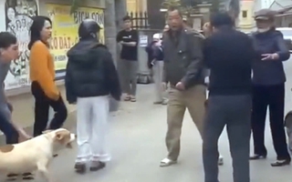 Tình huống pháp lý vụ "điều" chó dữ lao vào đám đông tấn công một phụ nữ