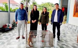 Chuyện hiếm gặp giữa khu dân cư ở Quảng Trị