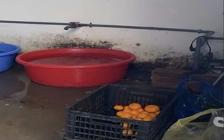 Phát hiện loạt vi phạm trong cung cấp suất ăn bán trú cho học sinh