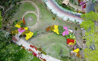 Xác lập kỷ lục "Bản đồ Việt Nam" được làm từ 1.000 giống hoa kiểng ở Sa Đéc