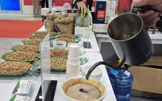 Giá cà phê hôm nay 31-12: Robusta tăng phiên thứ 5
