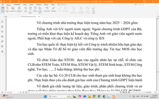 TPHCM: Rà soát năng lực, bằng cấp giáo viên chương trình liên kết